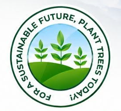 Shana Swabi logo
